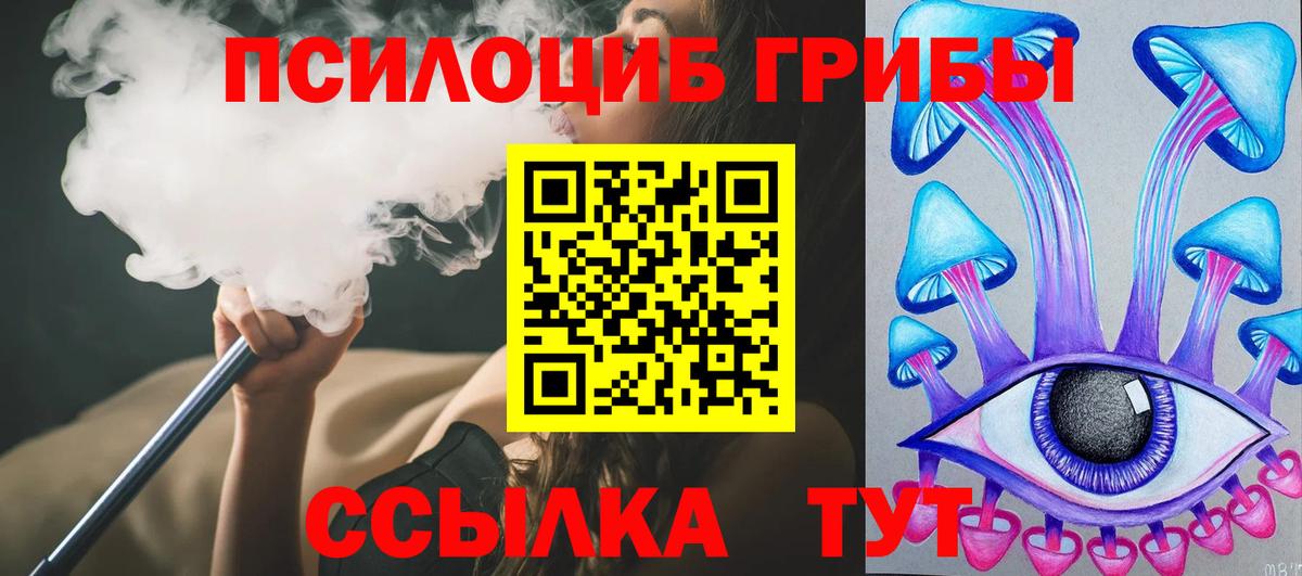 Псилоцибиновые грибы Cubensis Малоярославец