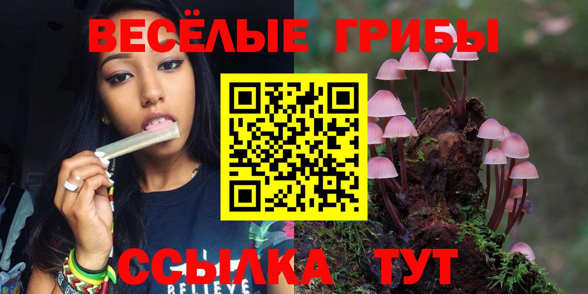 Малоярославец  где можно купить наркотик  Вход с VPN  Псилоцибиновые грибы MAGIC MUSHROOMS 
