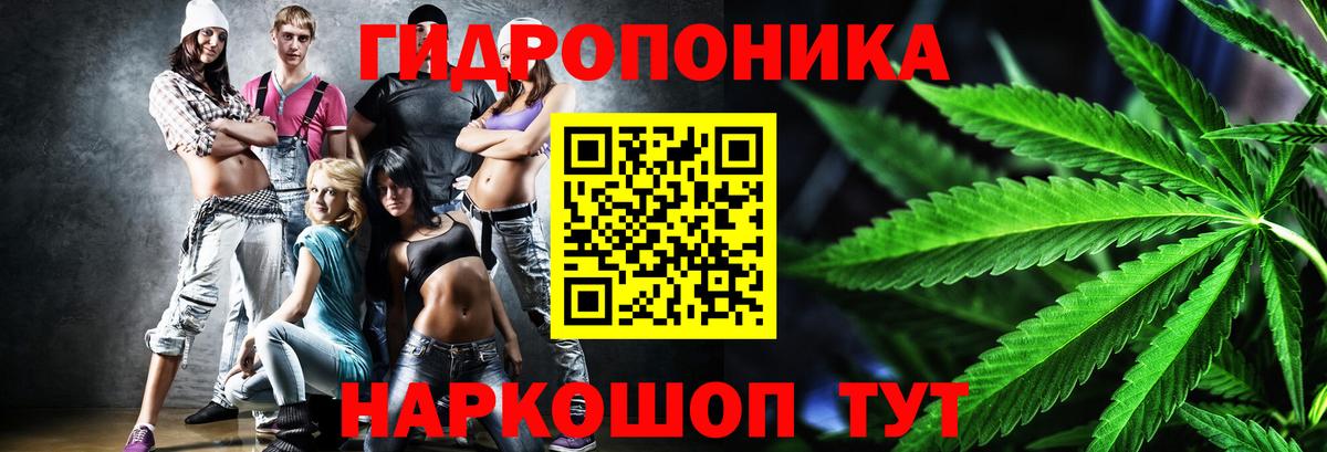Марихуана OG Kush Малоярославец